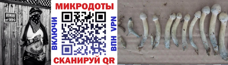 Псилоцибиновые грибы MAGIC MUSHROOMS  Ефремов 