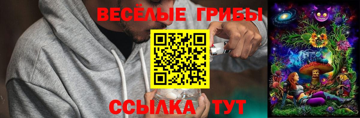 Ефремов  Псилоцибиновые грибы мухоморы  сколько стоит  Вход с VPN 