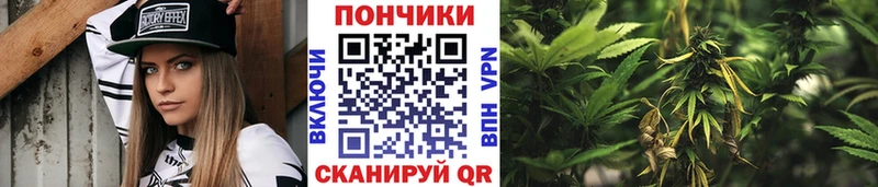 купить закладку  Ефремов  Бошки Шишки конопля 